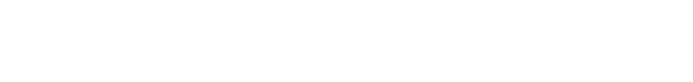 Digital Push - digital marketing and IT services